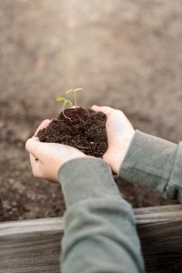 Kinder dürfen mal wieder so richtig in der Erde wühlen - Anngepflanzt - Naturworkshops für Kinder