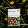 Biosaatgut - Cherrytomate Primabella