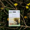Kürbis Bush delicata - Anngepflanzt - Biosaatgut