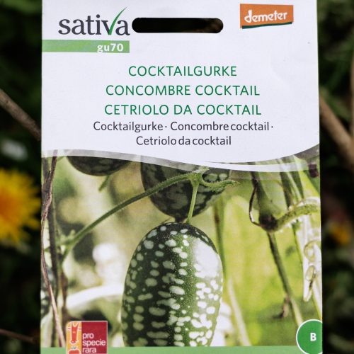 Cocktailgurke – Melothria Scabra