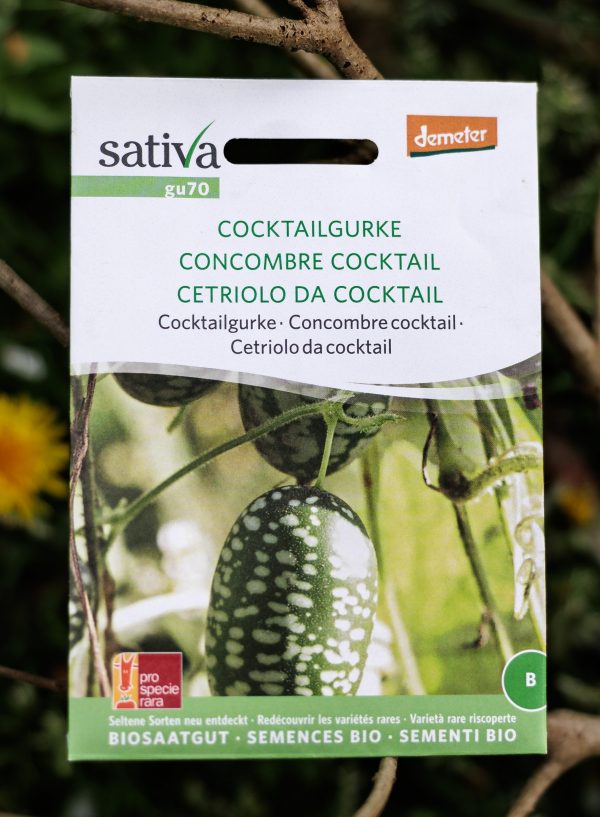 Cocktailgurke - Biosaatgut bei anngepflanzt