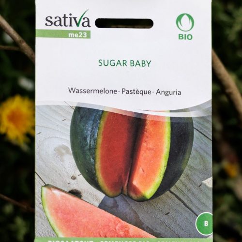 Wassermelone – Sugar Baby