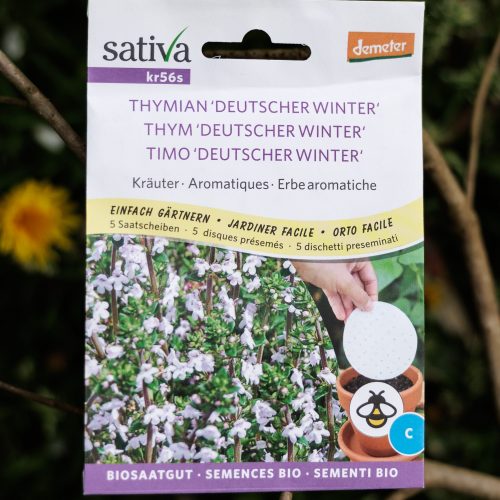 Thymian ‘Deutscher Winter’ – Biosaatgut