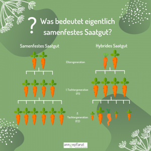 Read more about the article Samenfest – eine Begriffserklärung