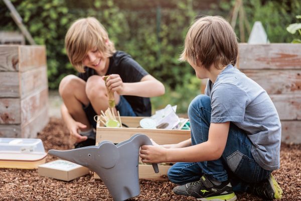 Gemüse-Starterset für Kinder - Gemeinsam Gärtnern