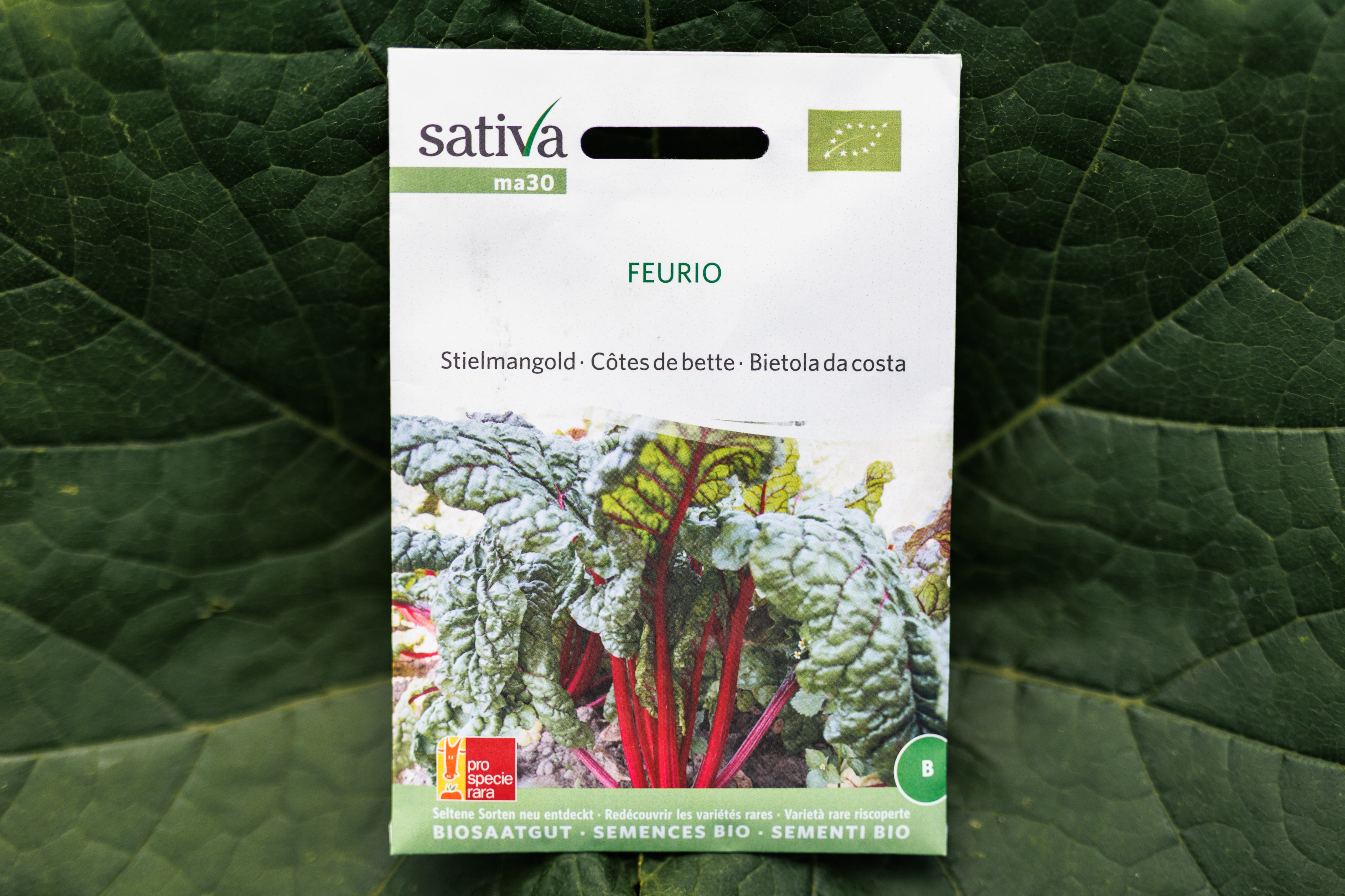 Sativa biosaatgut - Mangold Feurio