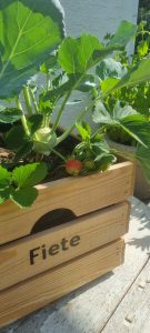 Mehr über den Artikel erfahren Hochbeet selber bauen mit Kindern – einfache DIY-Varianten