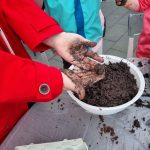 Blumenmurmeln rollen - Workshops für Kinder auf dem Böhnen Hoff in Minden