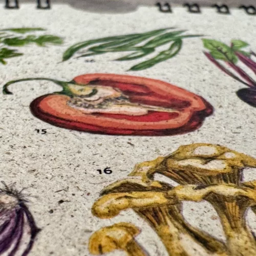 Saisonkalender Gemüse mit Rezepten