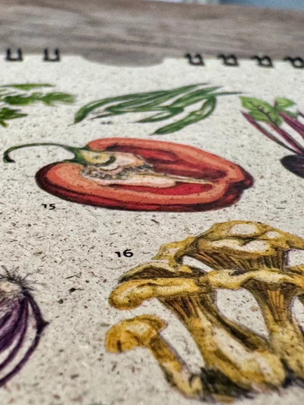 Saisonkalender Gemüse hergestellt aus Graspapier