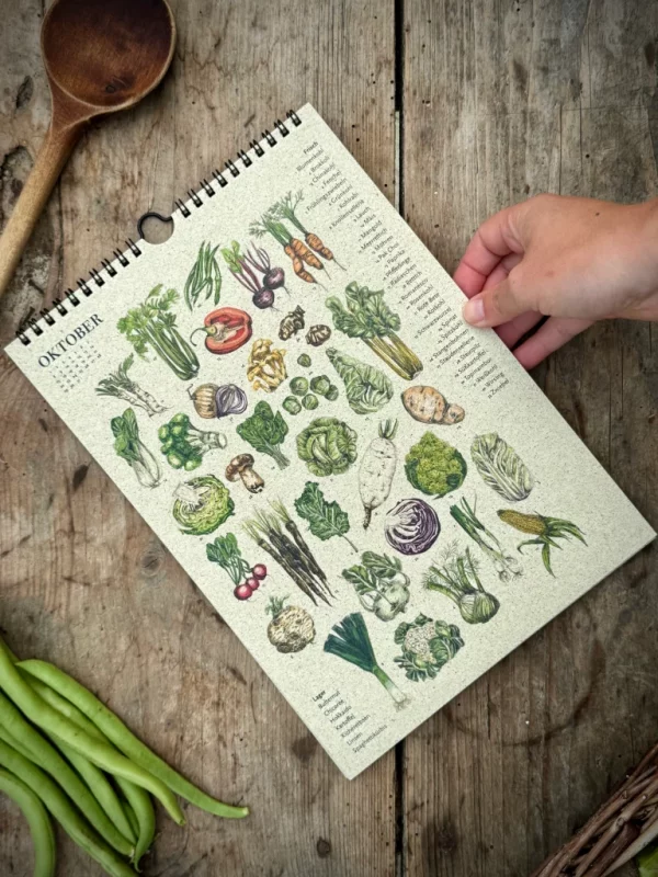 Saisonkalender Gemüse - mit über 60 Gemüsesorten