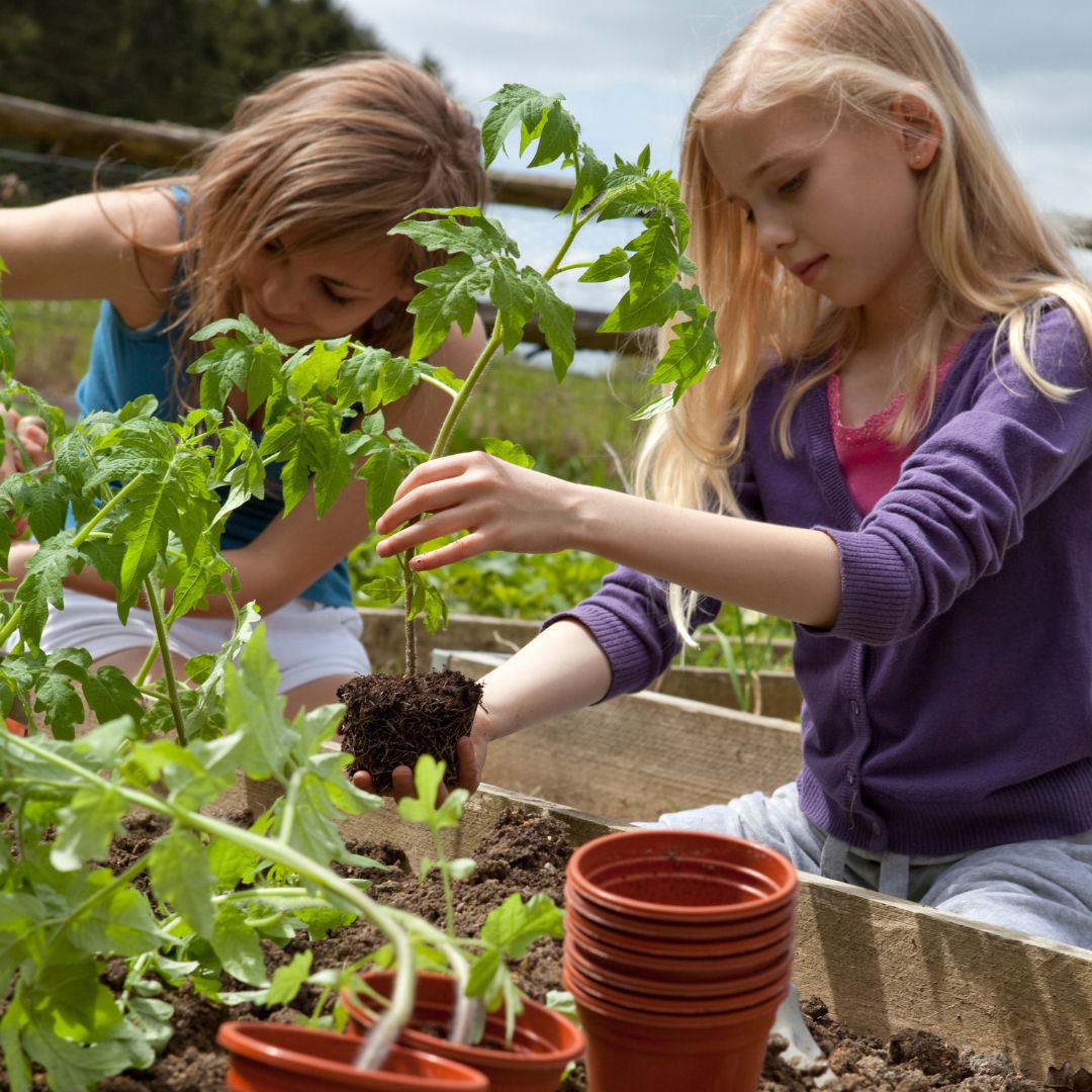Schritt für Schritt zum Kinderbeet für zu Hause