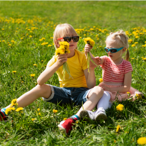 Mehr über den Artikel erfahren 10-Minuten-Naturaktion im Frühling