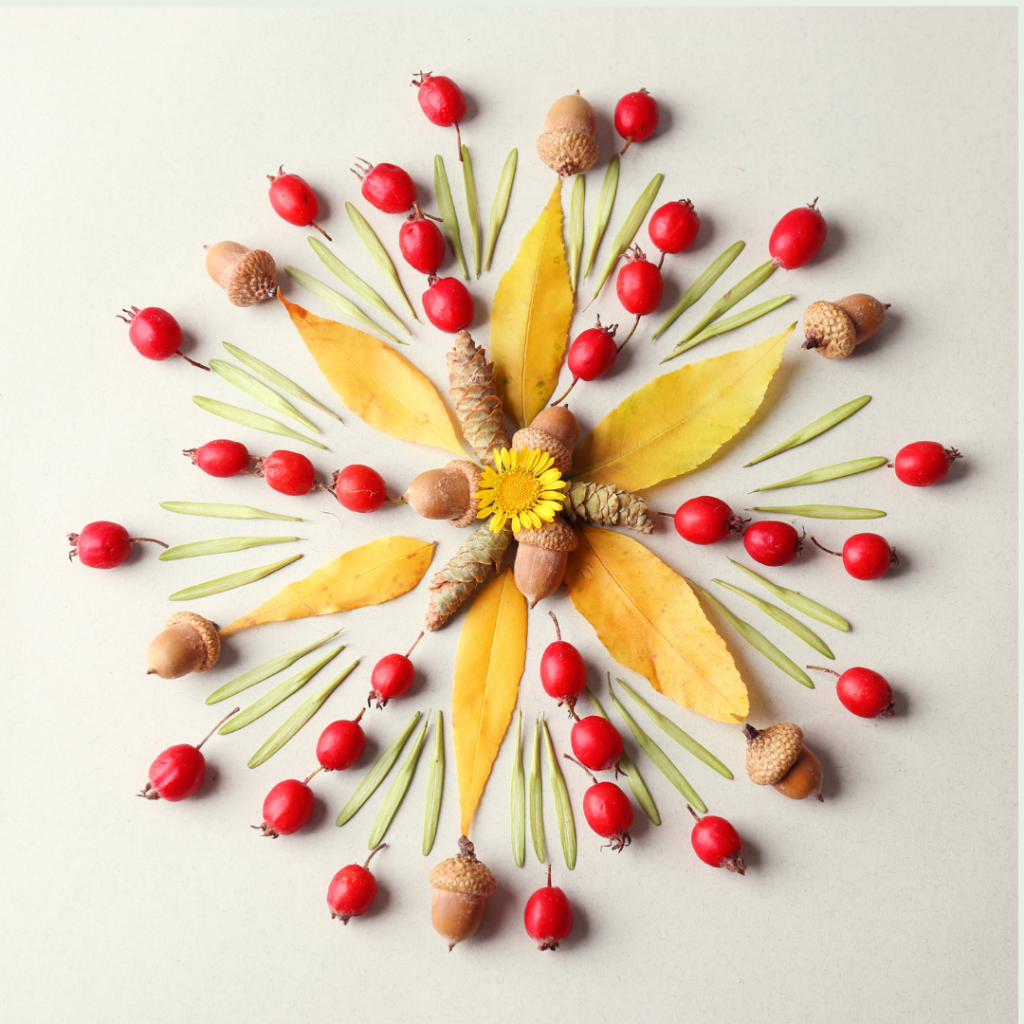 Mit Kindern ein Naturmandala legen