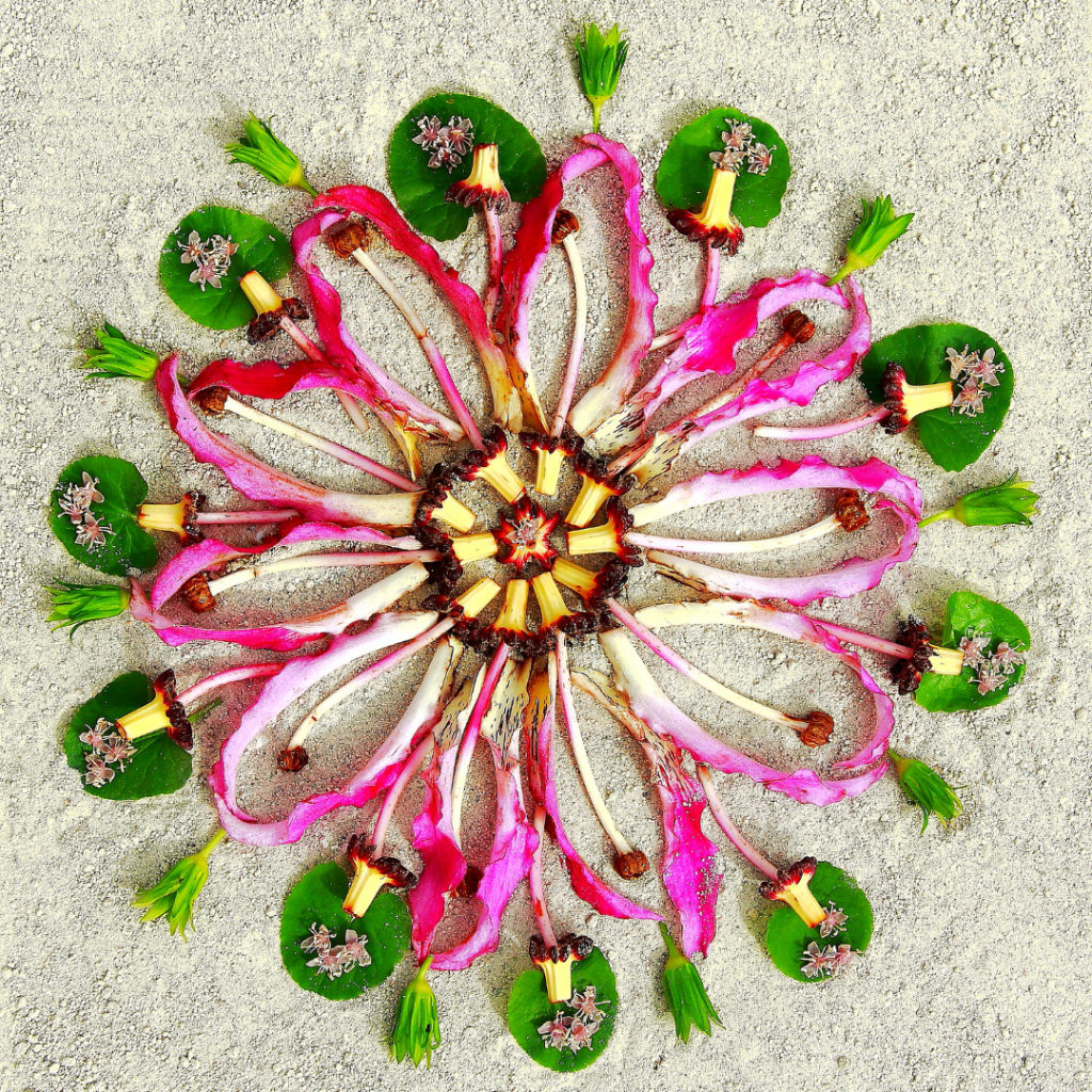 10 Minuten Naturaktion mit Kindern