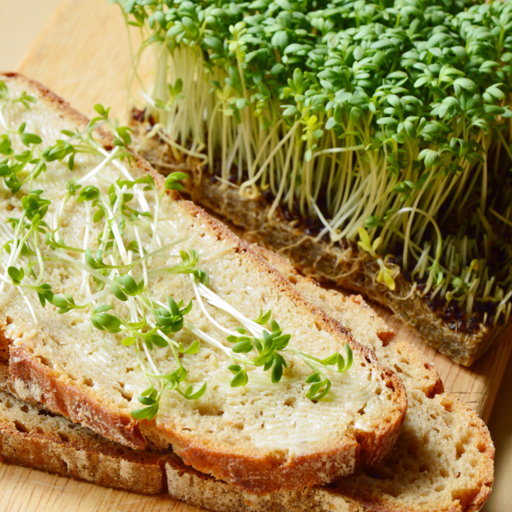 Mini - Rezept: Kresse aufs Brot