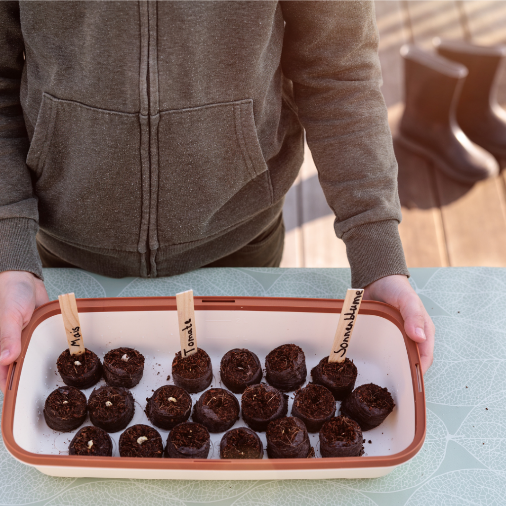 Mit Kindern säen im Frühling