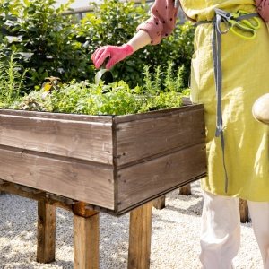 Mehr über den Artikel erfahren Hochbeet selber bauen mit Kindern – einfache DIY-Varianten