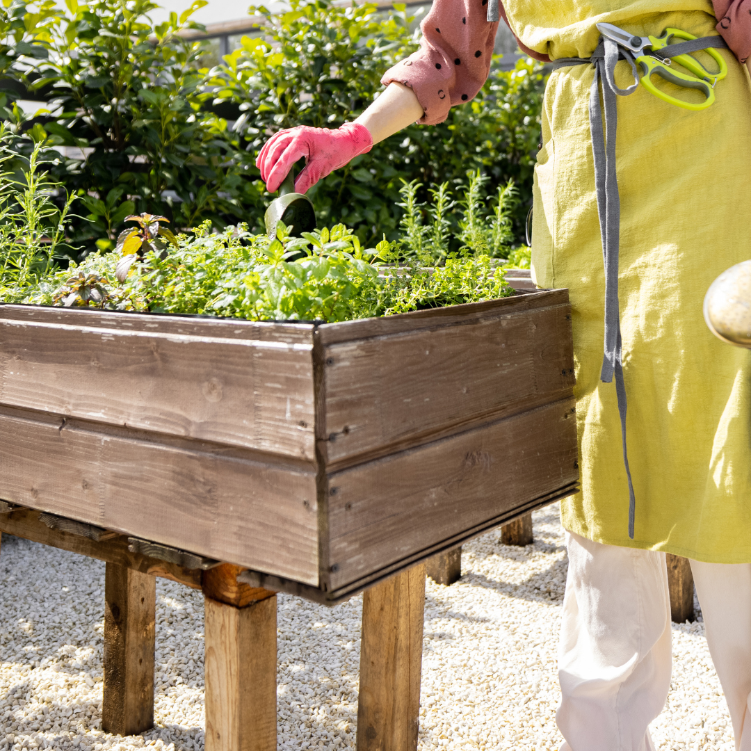 Mit Kindern Hochbeete bauen und Gemüse anpflanzen