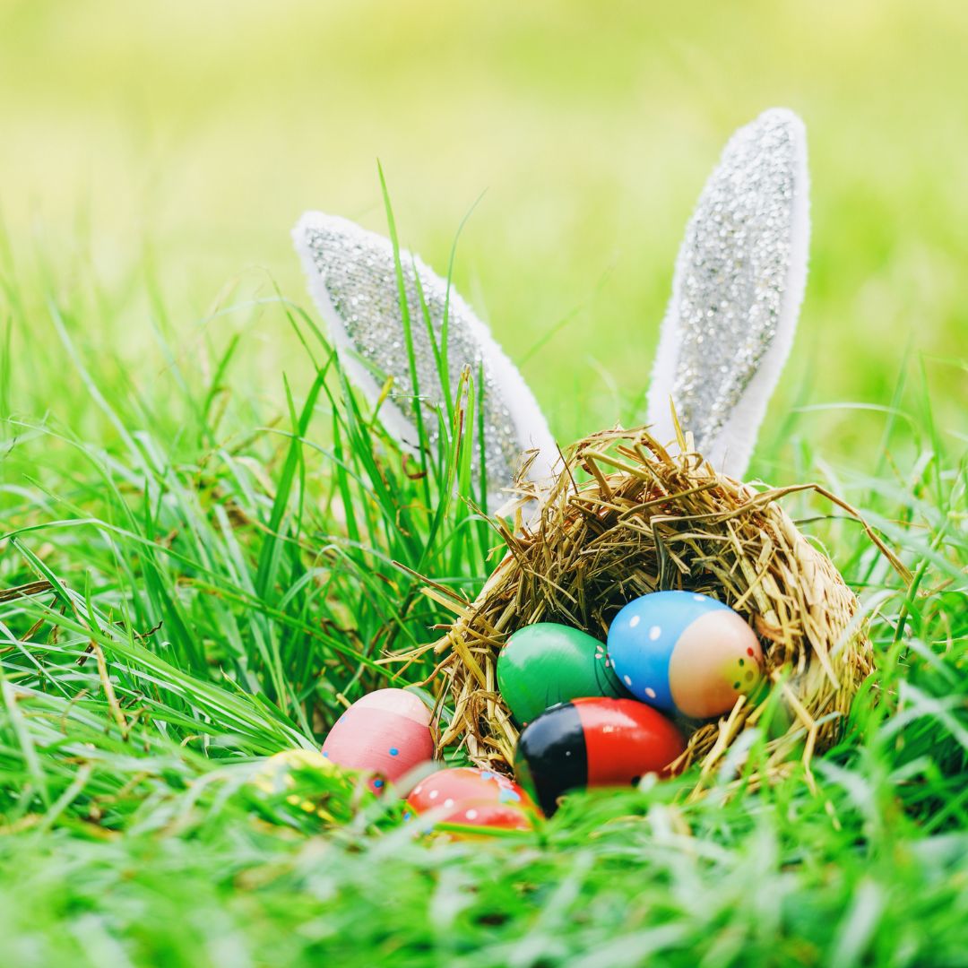 Gärtnern zu Ostern - mit Kindern - 20 Ideen