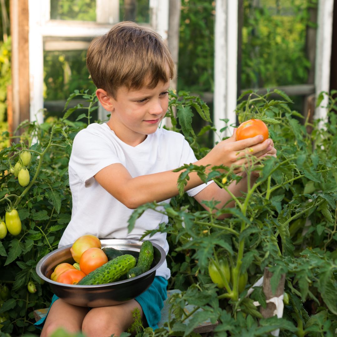 Gärtnern mit Kindern im Sommer - 10 Ideen