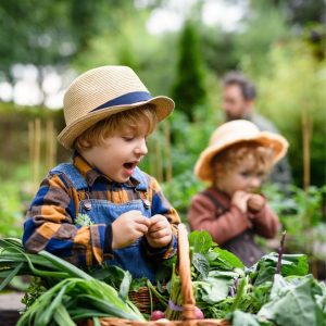 Mehr über den Artikel erfahren Spielerische Gartenaufgaben für Kinder – so macht Gartenarbeit plötzlich Spaß